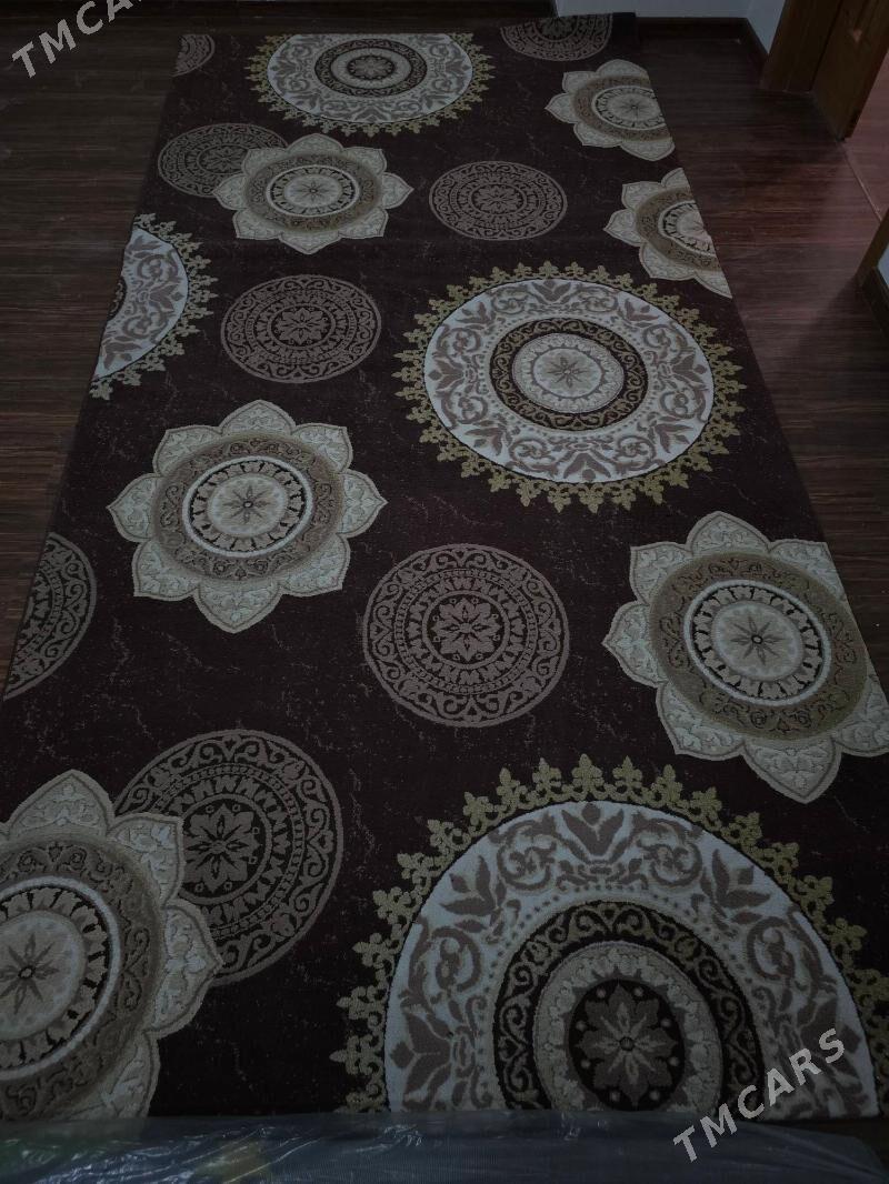 Haly - Köşi - img 3