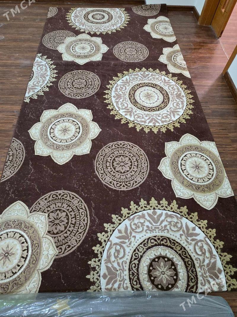 Haly - Köşi - img 2