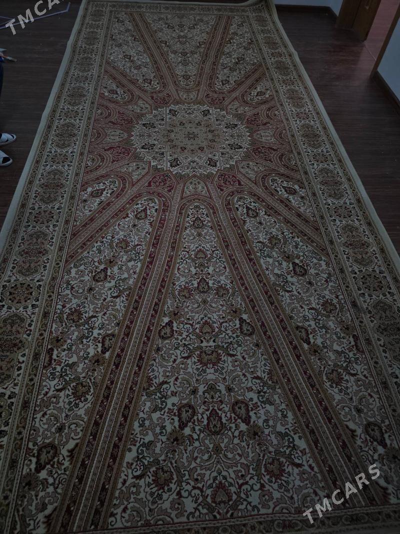 Haly - Köşi - img 2