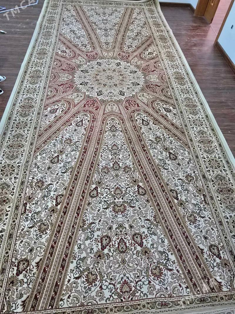 Haly - Köşi - img 3