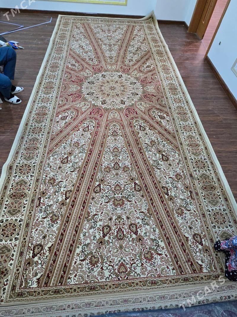 Haly - Köşi - img 5