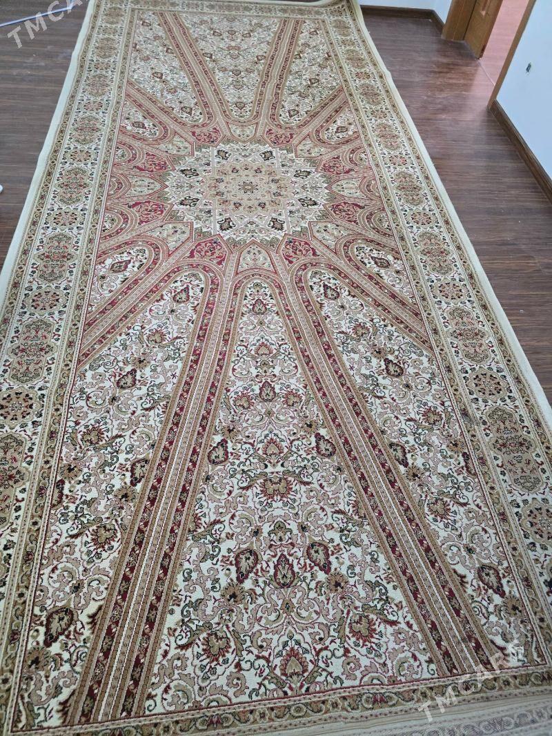 Haly - Köşi - img 4