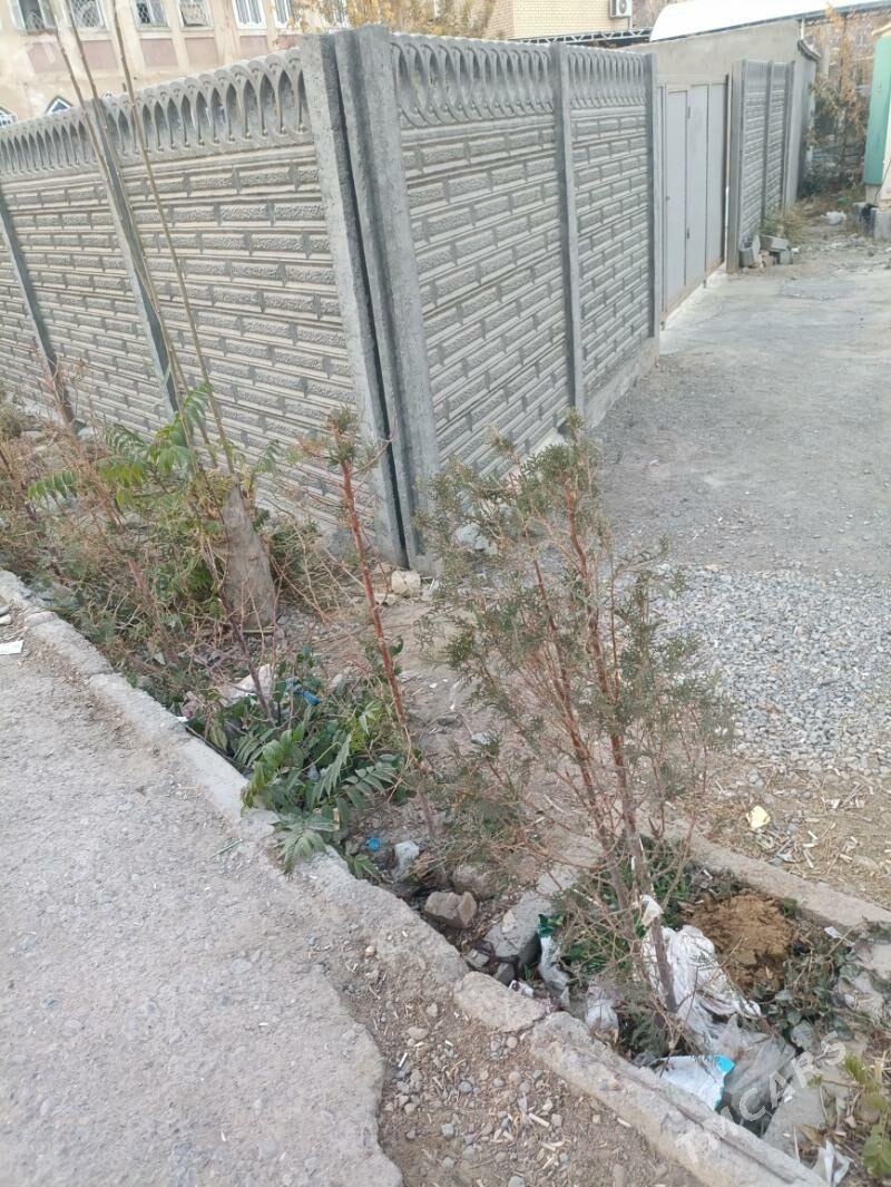 pekarnyý Mary şaher - Мары - img 7