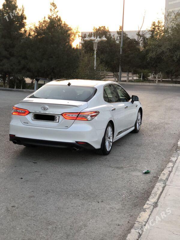 safyor waditel suruji - Ашхабад - img 5