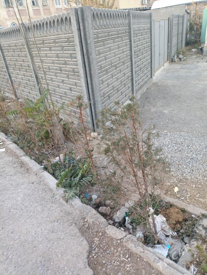 pekarnyý arenda berilyar - Mary - img 7