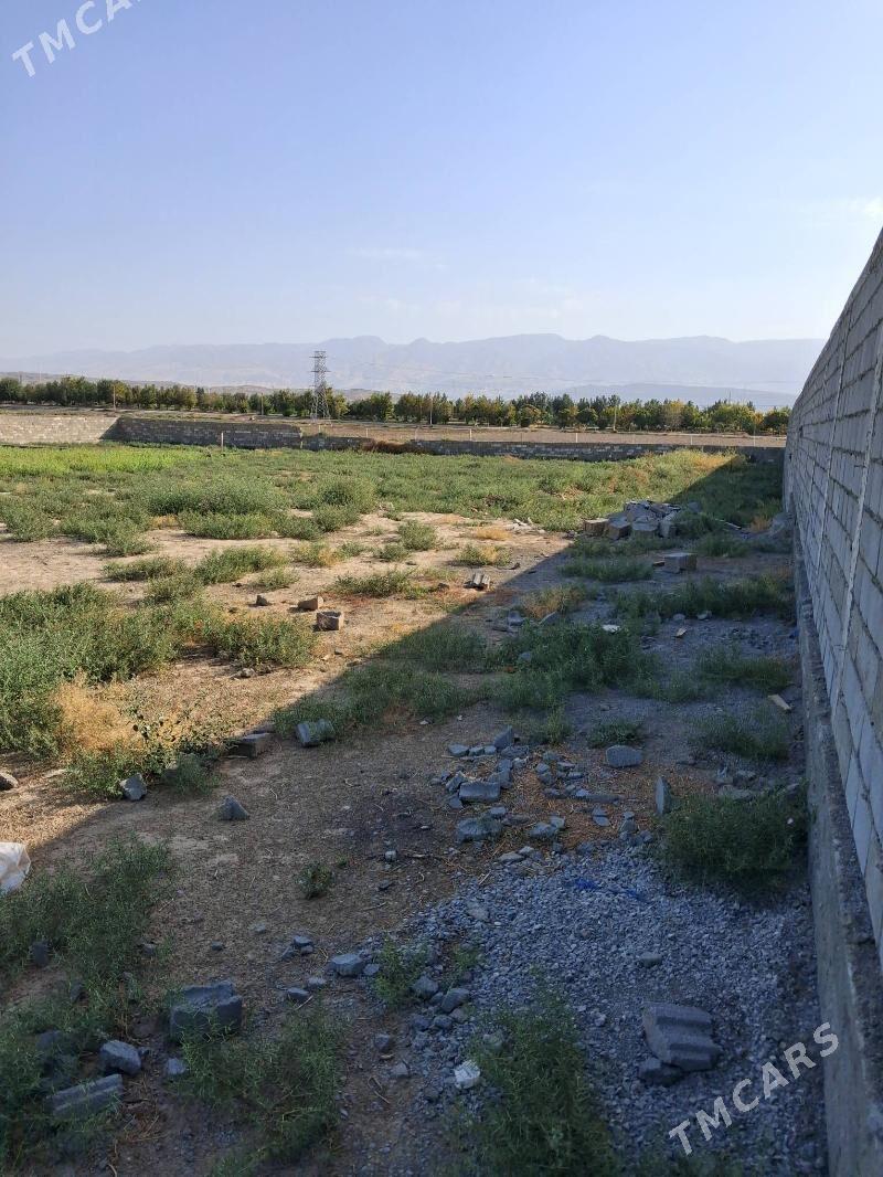 gypjak mellek 12.5 stok gyssag - Кипджак - img 1