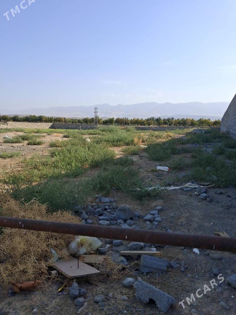 gypjak mellek 12.5 stok gyssag - Кипджак - img 3