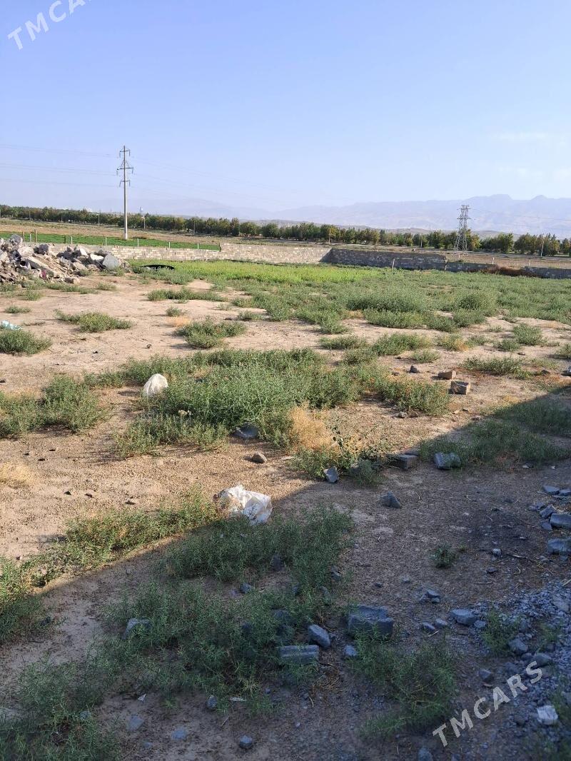 gypjak mellek 12.5 stok gyssag - Кипджак - img 2