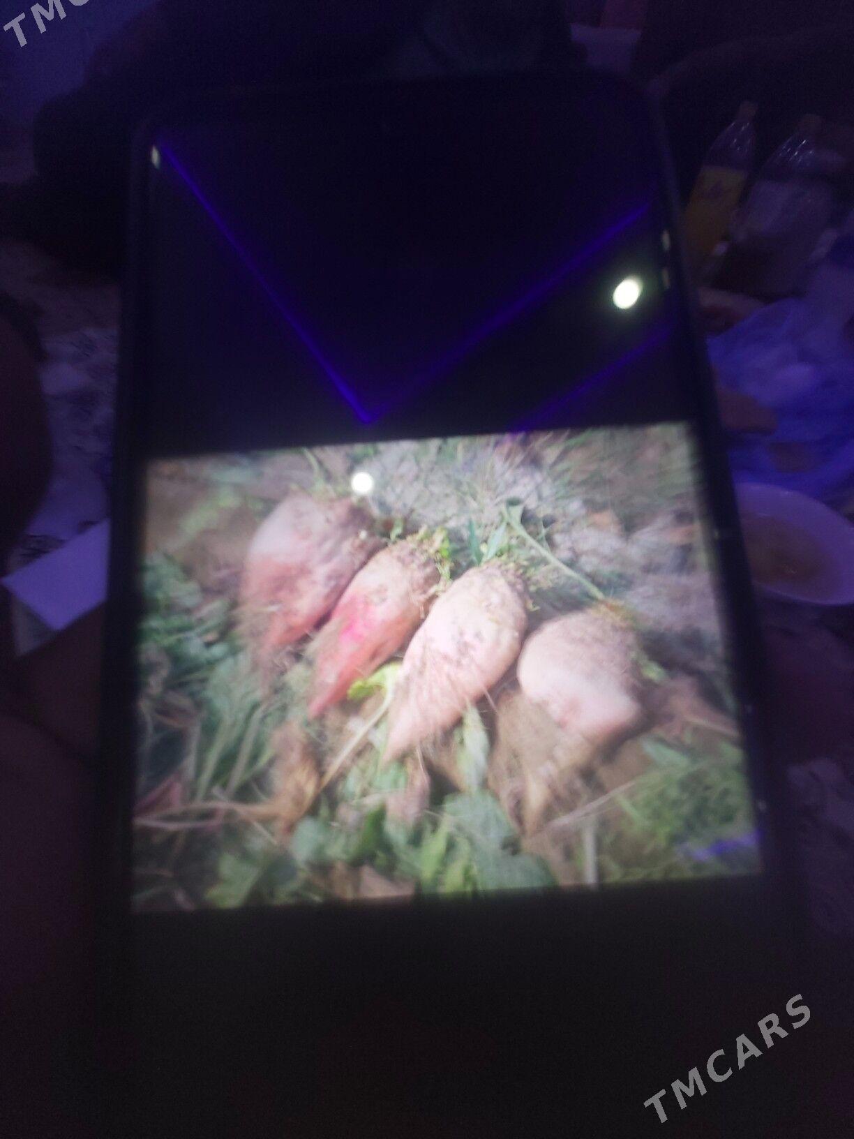 gant sygundir - Gökdepe - img 3