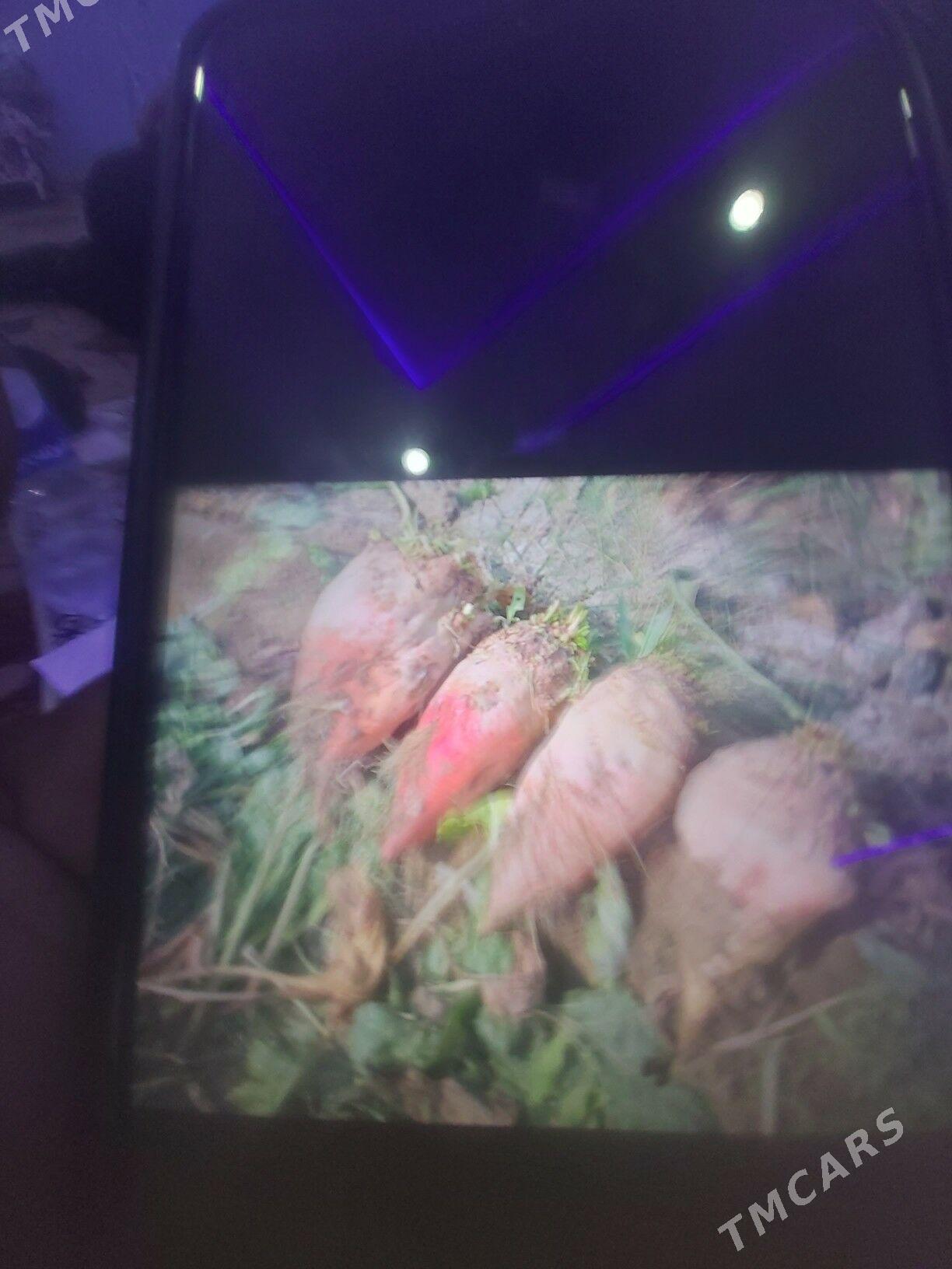 gant sygundir - Gökdepe - img 2