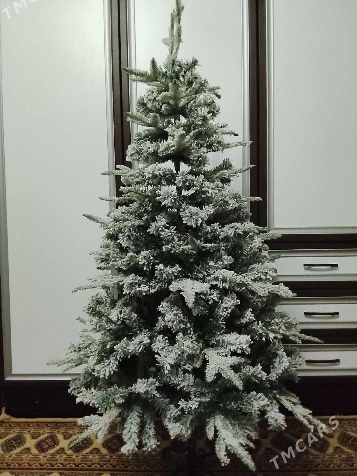 Yolka Arca - Ашхабад - img 4