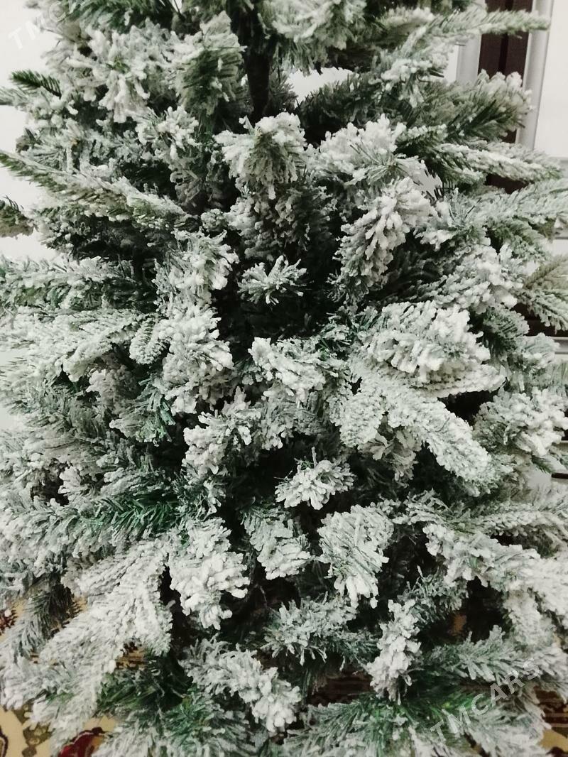 Yolka Arca - Ашхабад - img 2