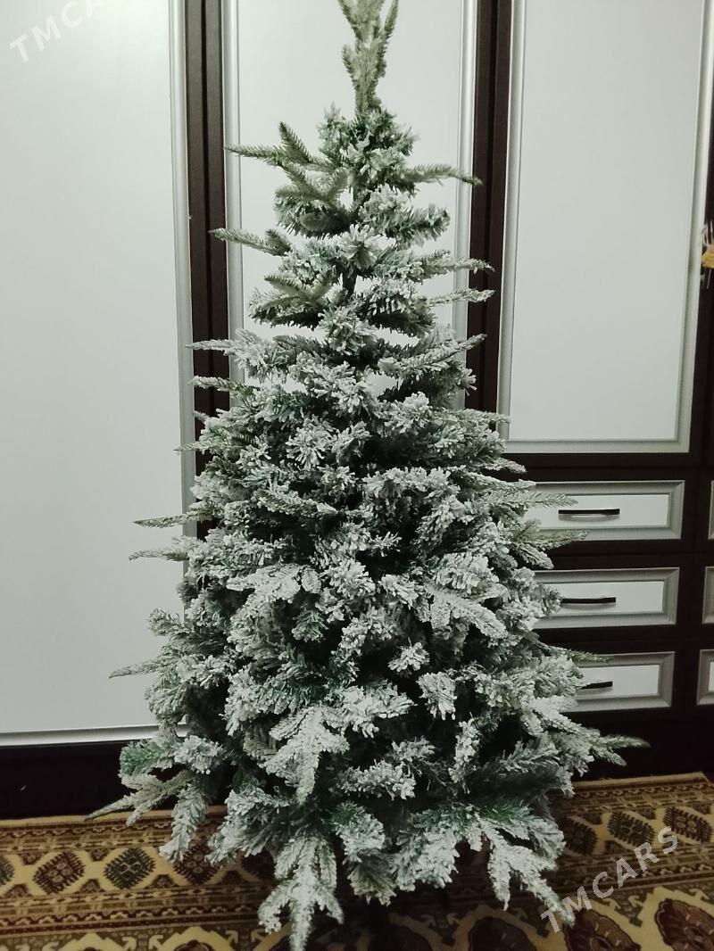 Yolka Arca - Ашхабад - img 3