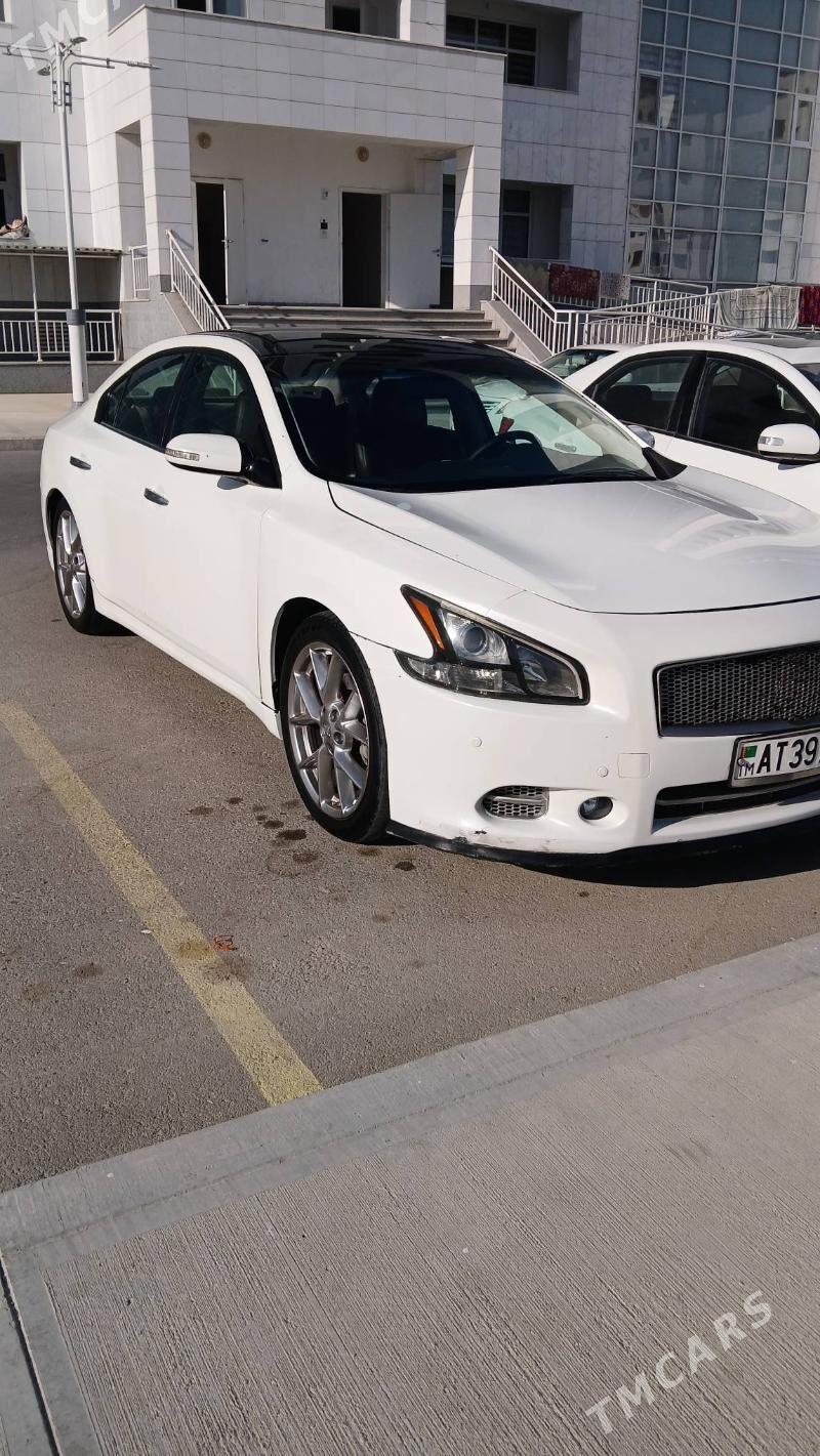 Nissan Maxima 2010 - 195 000 TMT - Aşgabat - img 2