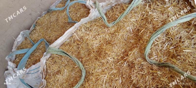 ARPAŇ SAMANY - Sakarçäge - img 2