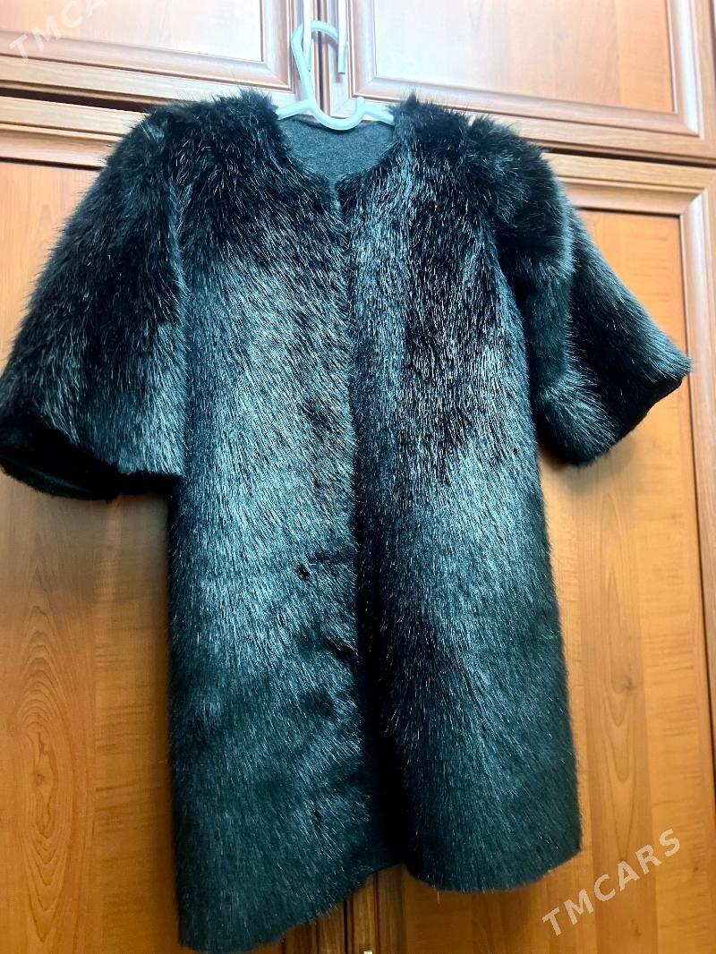 şuba - Balkanabat - img 2