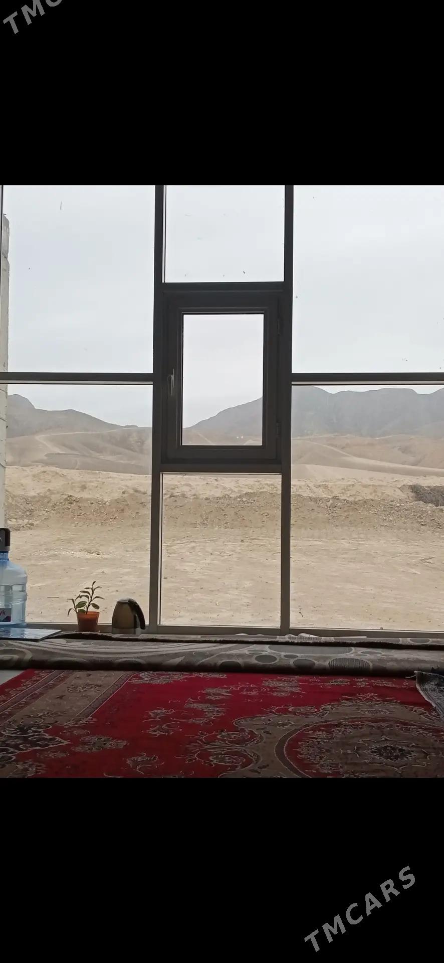 Gäweris bereketli zaman aralyk - Ak bugdaý etraby - img 2