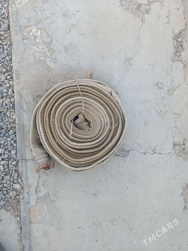 pasarny slanga - Мары - img 2