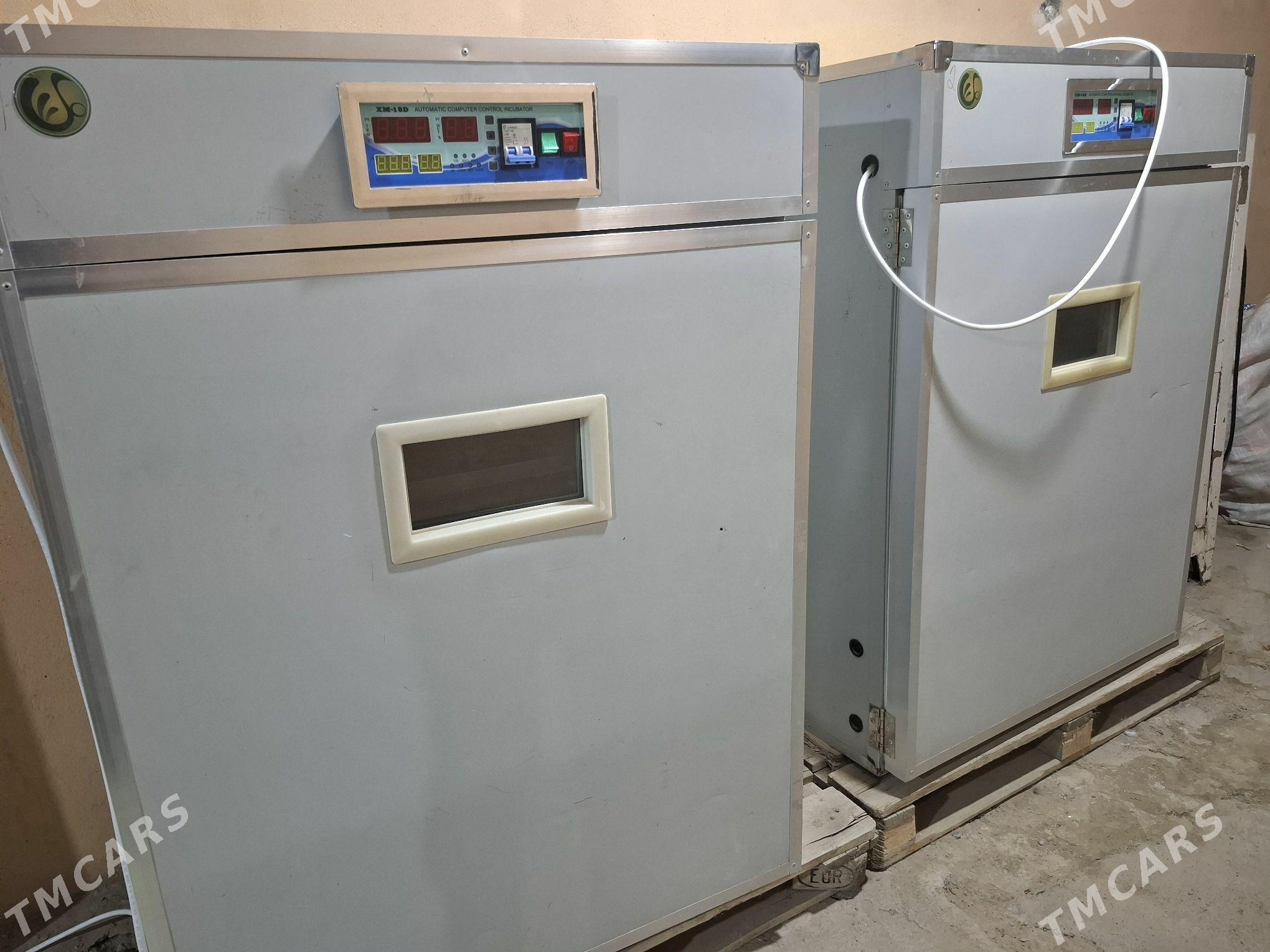 inkubator - Ашхабад - img 2