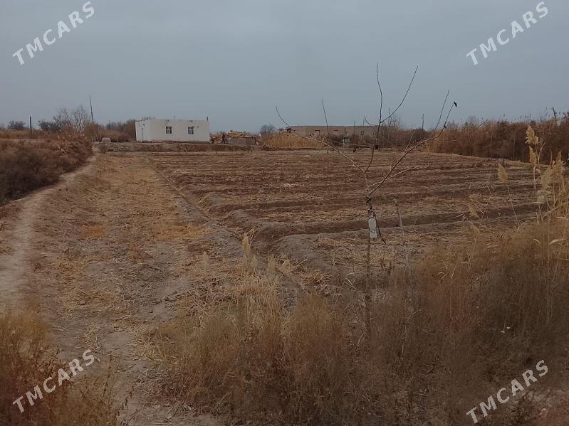 satlyk jaý - Болдумсаз - img 5