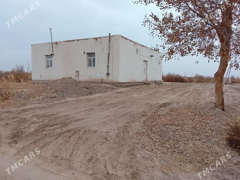 satlyk jaý - Болдумсаз - img 7