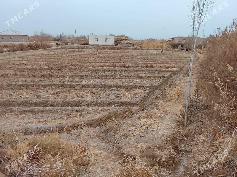 satlyk jaý - Болдумсаз - img 6