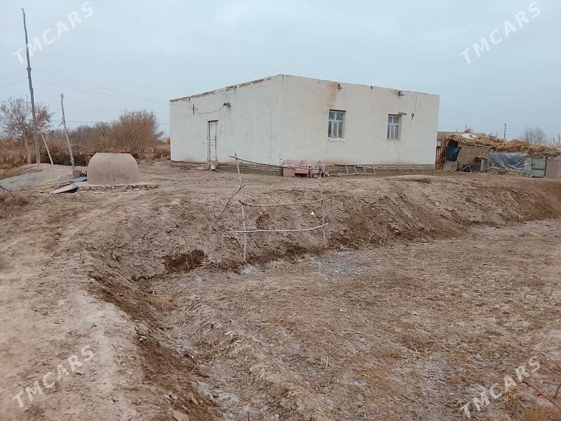 satlyk jaý - Болдумсаз - img 4