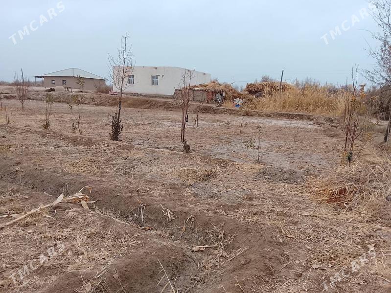 satlyk jaý - Болдумсаз - img 3