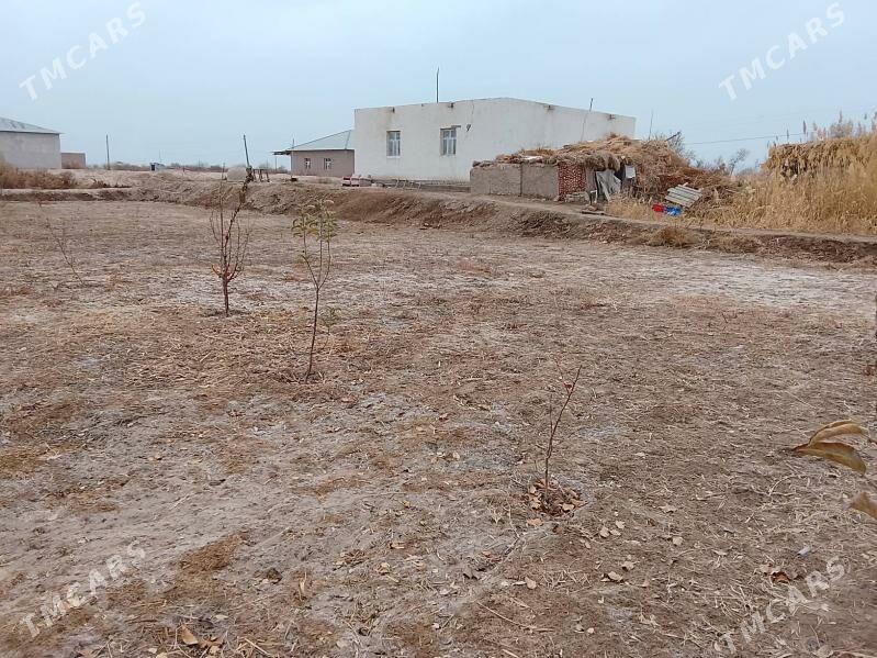 satlyk jaý - Болдумсаз - img 2