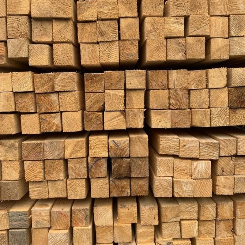 Agac sosna reyka - Aşgabat - img 2