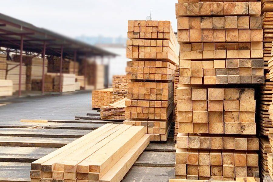 Agac sosna reyka - Aşgabat - img 5