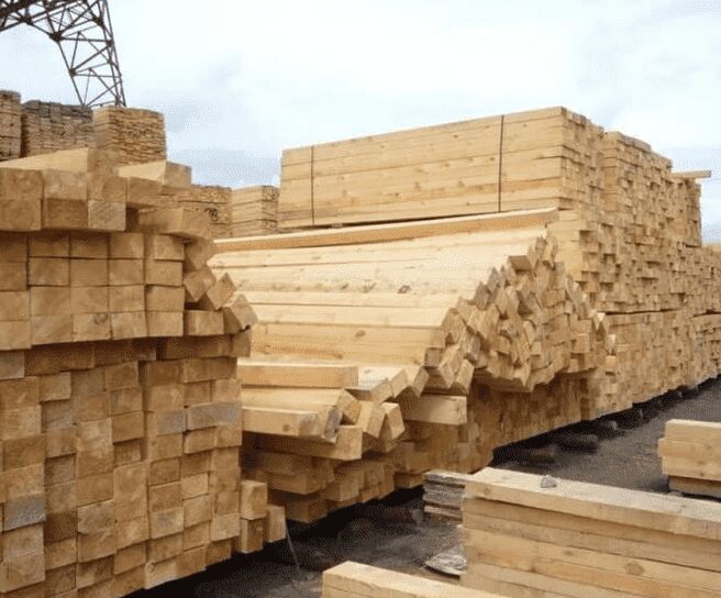 Agac sosna reyka - Aşgabat - img 4