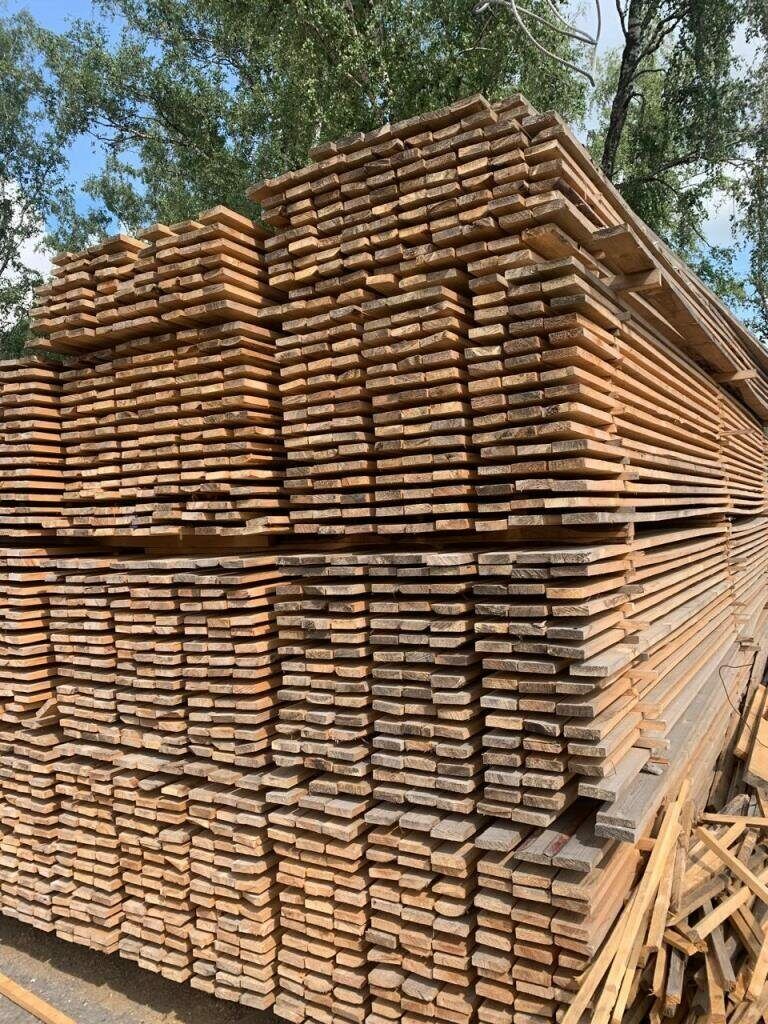 Agac sosna reyka - Aşgabat - img 3