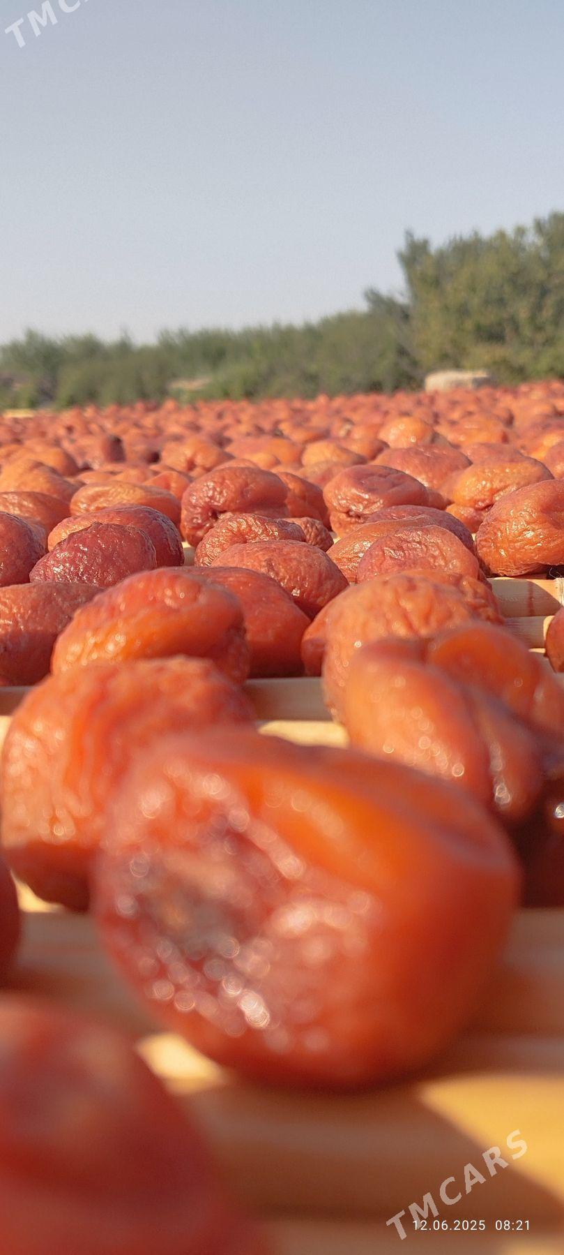 Bag nahalary - Сакарчага - img 7