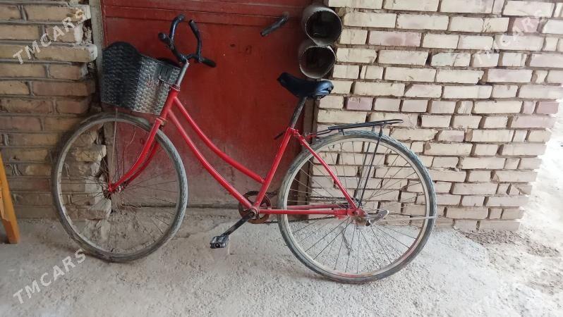 welsapet - Векильбазар - img 1