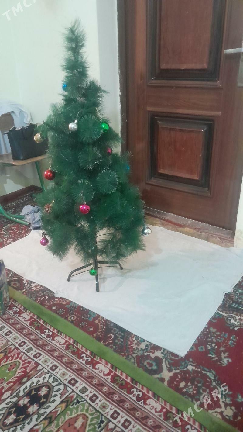 yolka - Чоганлы - img 4