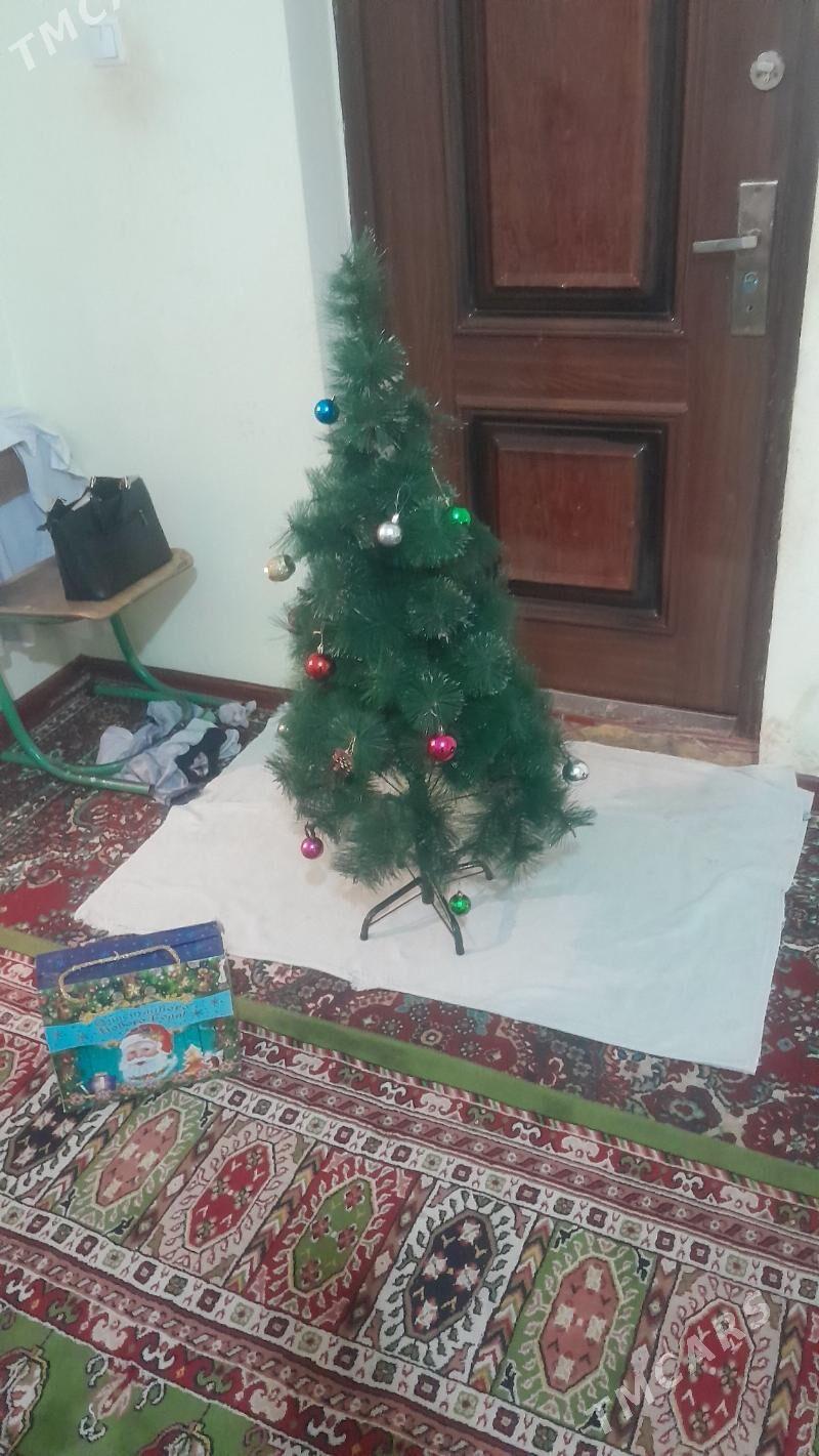 yolka - Чоганлы - img 3