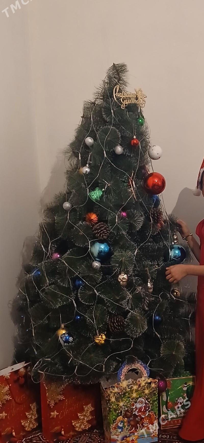 yolka arça ёлка - Aşgabat - img 2