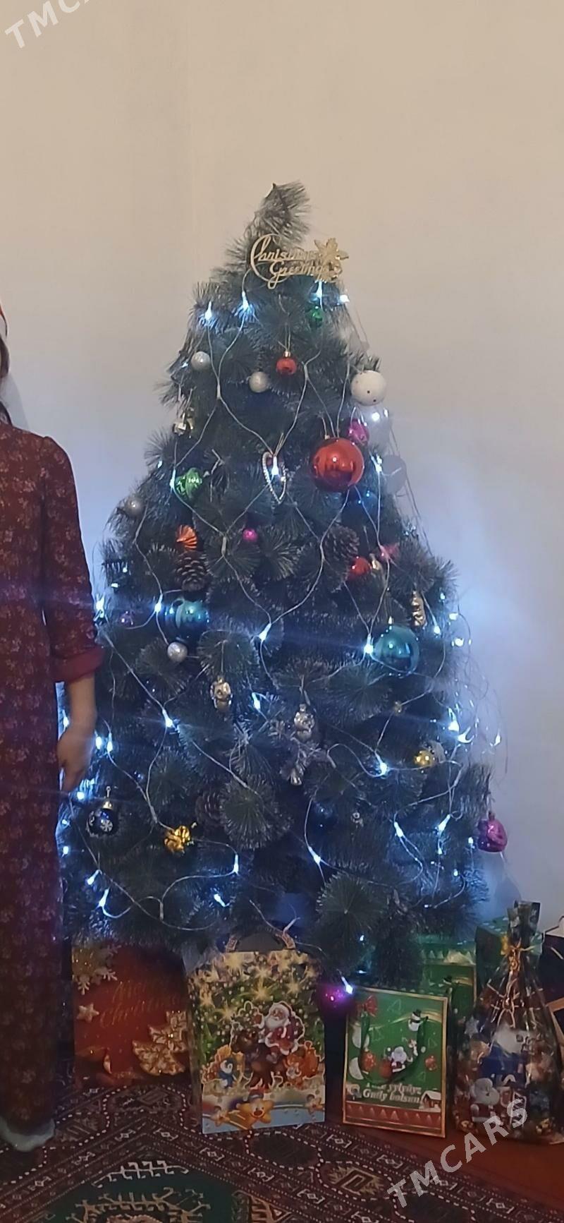 yolka arça ёлка - Aşgabat - img 4