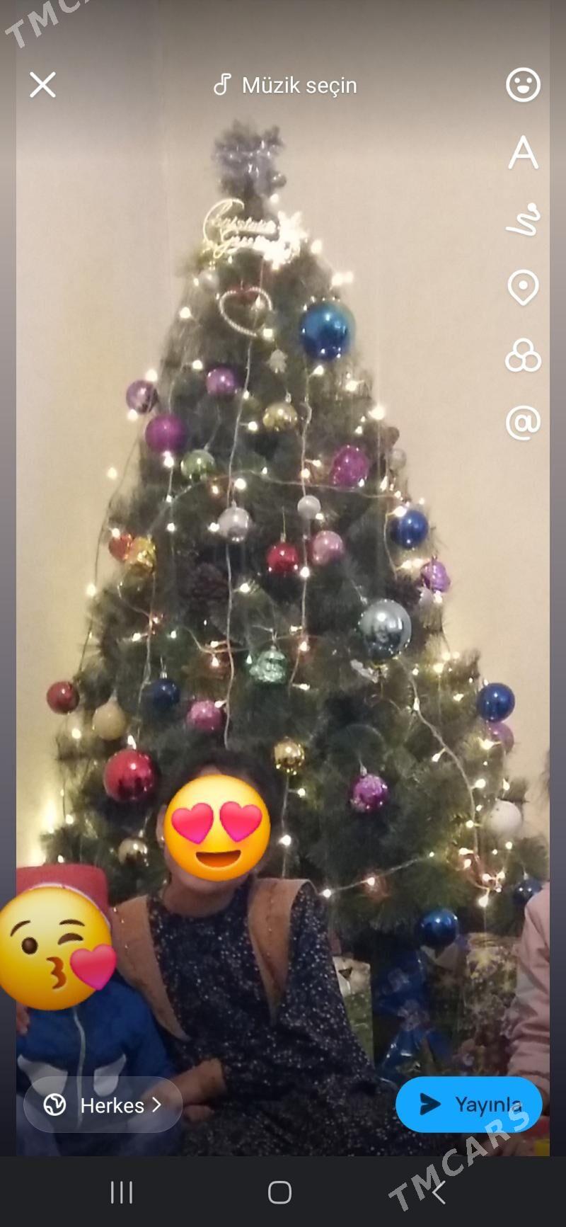 yolka arça ёлка - Ашхабад - img 1