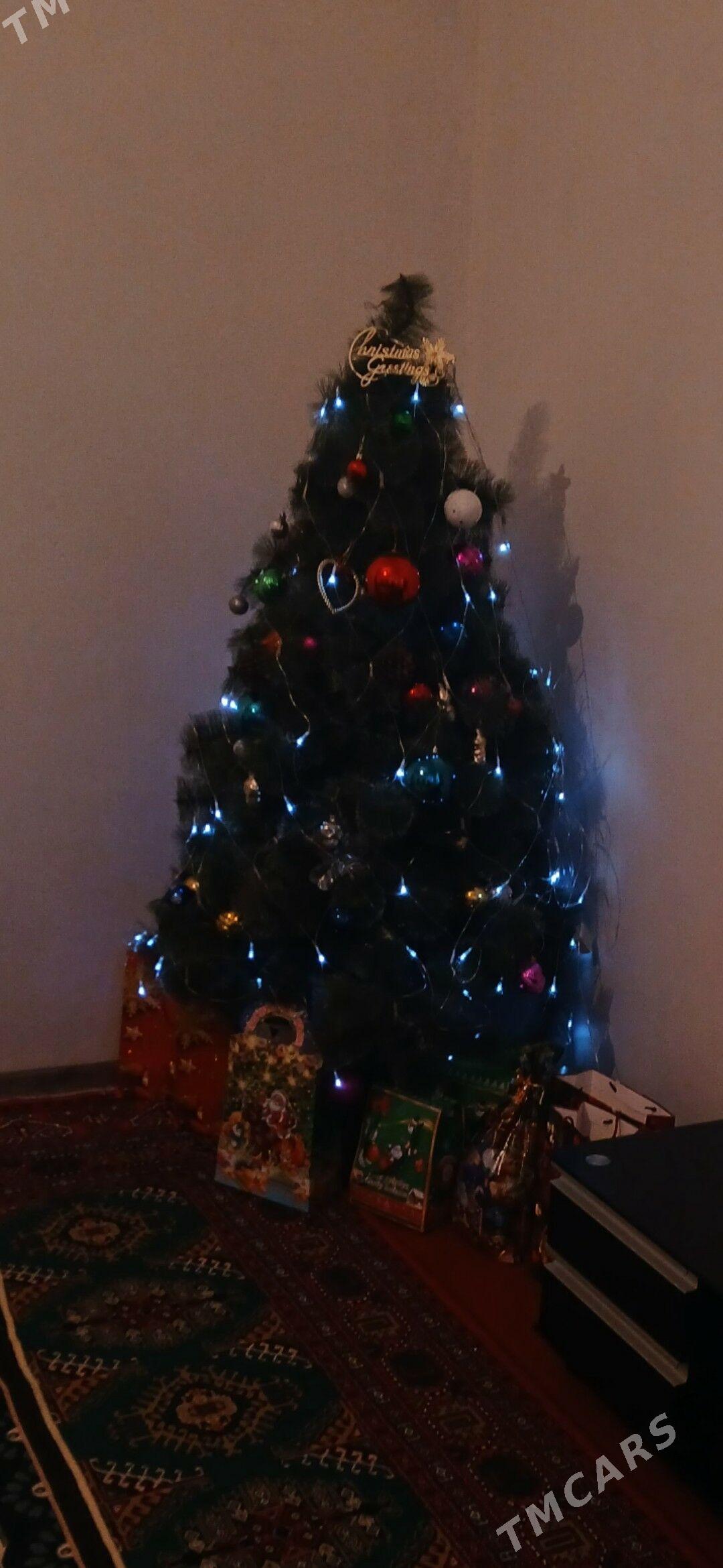 yolka arça ёлка - Aşgabat - img 3