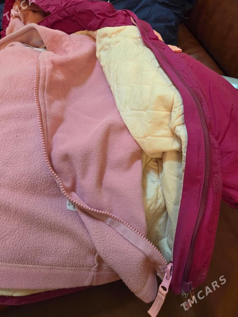 Caga Kurtga 5-6 yas bolyar. - Ашхабад - img 3