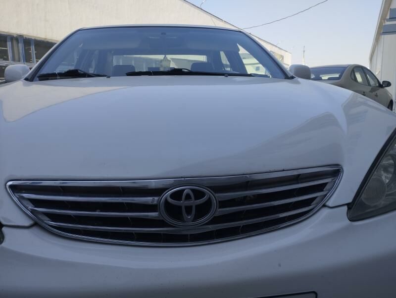 Fara 950 TMT - Бедев - img 3