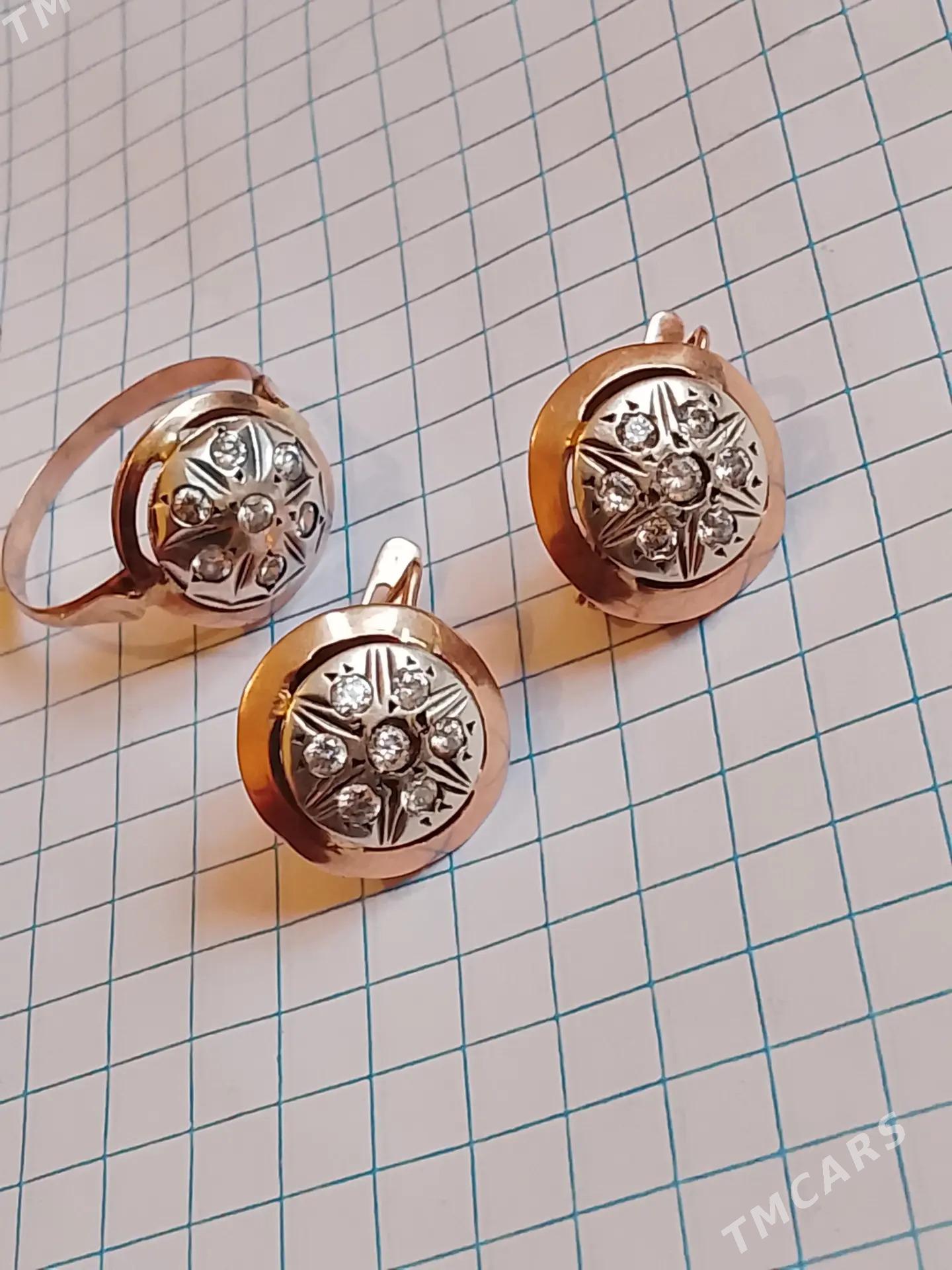 Gyzyl kampilekit - Ашхабад - img 3