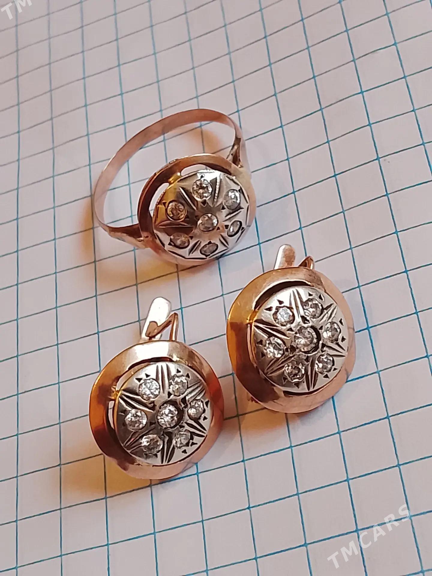 Gyzyl kampilekit - Ашхабад - img 2