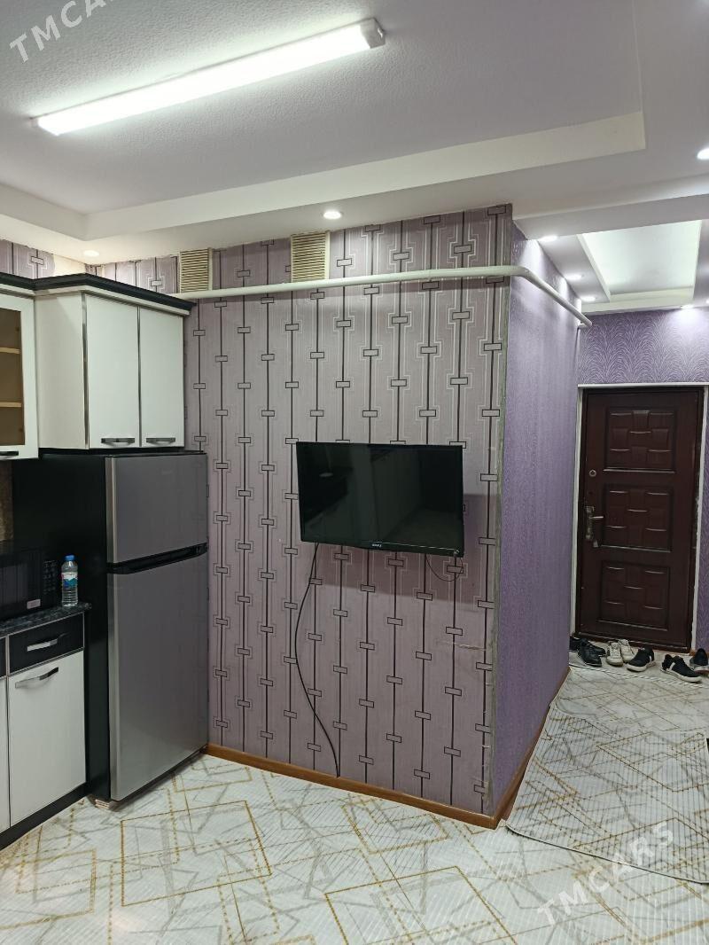 Satlyk jay - Mary - img 3