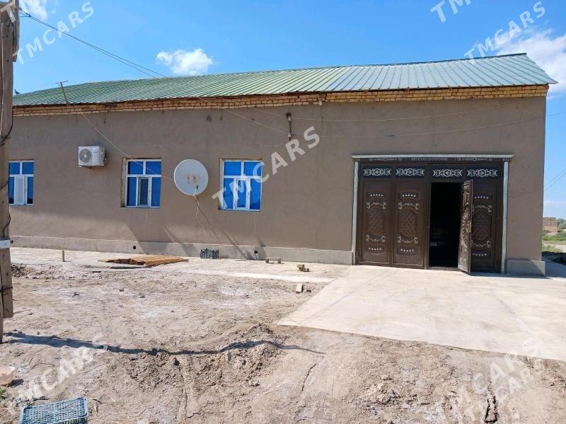 Satlyk JAY  Koneurgenç - Кёнеургенч - img 2