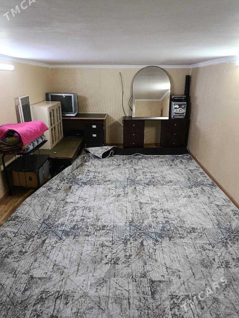 Satlyk jay - Mary - img 10