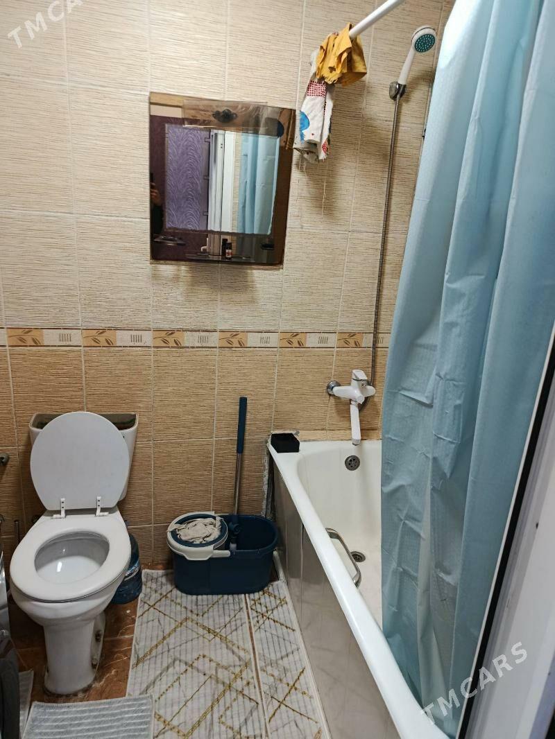 Satlyk jay - Mary - img 6