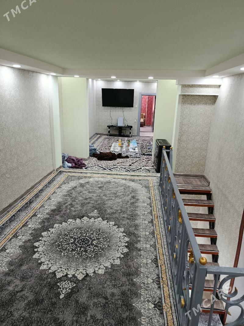 Satlyk jay - Mary - img 7